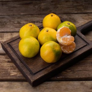 Мандарин абхазский